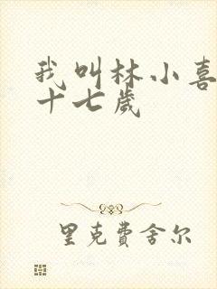 我叫林小喜今年十七岁