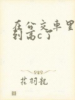 在公交车里c弄到高c了