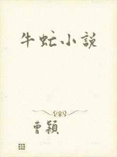 牛虻小说