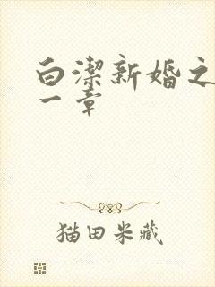 白洁新婚之夜第一章