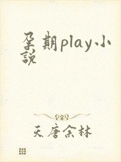 孕期play小说