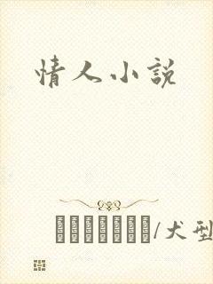 情人小说
