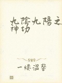 九阴九阳之阴阳神功