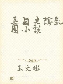 长日光阴乱作一团小说