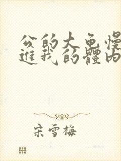 公的大龟慢慢挺进我的体内