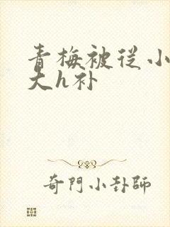 青梅被从小摸到大h补