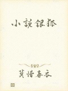 小说银狐