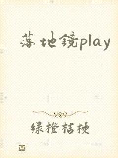 落地镜play