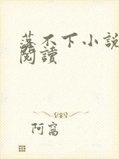 落不下小说免费阅读