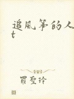 追风筝的人txt
