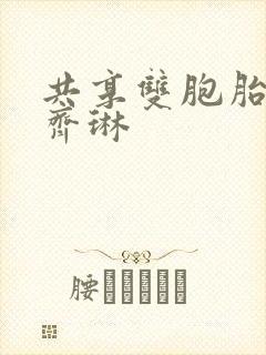 共享双胞胎齐娜齐琳