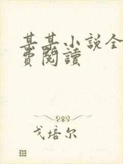 某某小说全文免费阅读