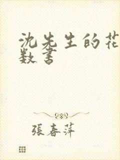 沈先生的花式调数书