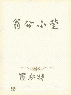 翁公小莹