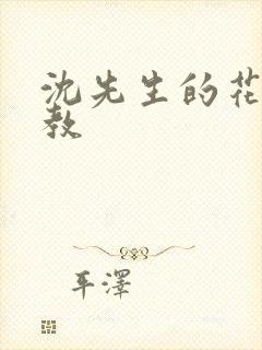 沈先生的花式调教