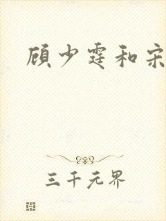 顾少霆和宋斯曼