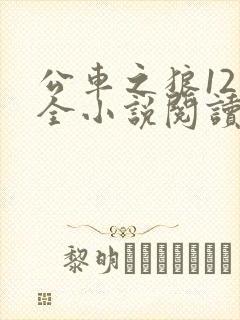 公车之狼12集全小说阅读