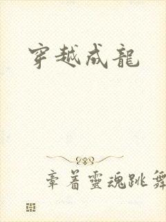 穿越成龙