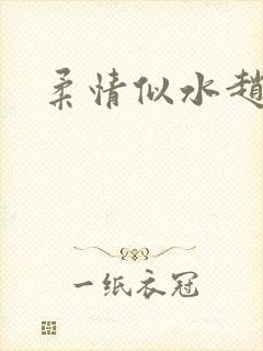 柔情似水赵雅儿