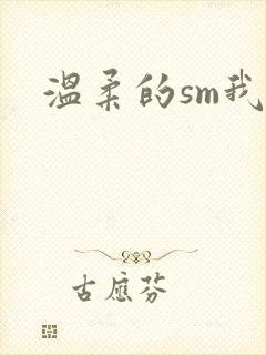 温柔的sm我
