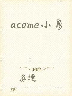 acome小鸟