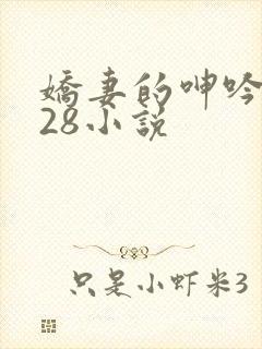 娇妻的呻吟1—28小说