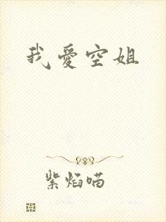 我爱空姐