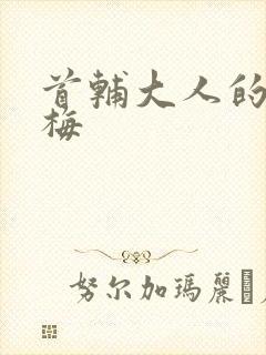 首辅大人的小青梅