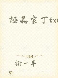 极品家丁txt