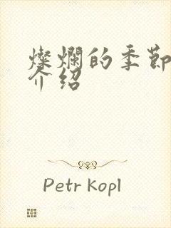 灿烂的季节剧情介绍