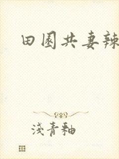 田园共妻辣