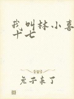 我叫林小喜今年十七
