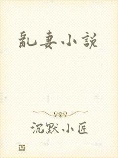 乱妻小说