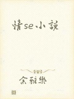 情se小说