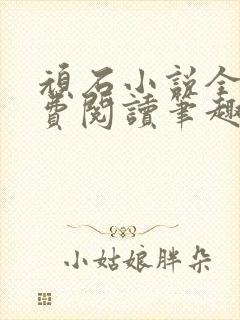 顽石小说全文免费阅读笔趣阁