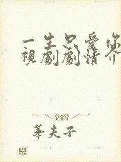 一生只爱你 电视剧剧情介绍