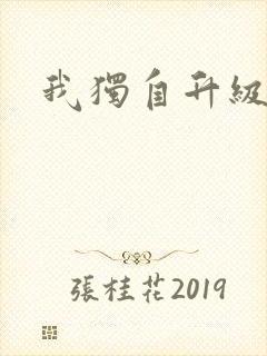 我独自升级小说