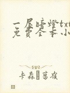 一屋暗灯txt免费全本小说电子书