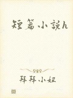 短篇小说h
