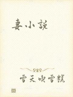 妻小说