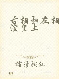右相和左相一起淦皇上