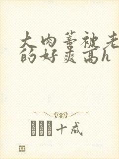 大肉蒂被老头嘬的好爽高h