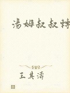 汤姆叔叔转接口