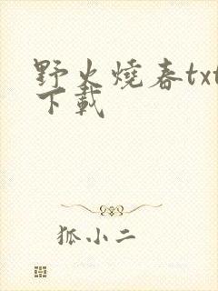 野火烧春txt下载