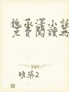 魏承泽小说全文免费阅读无弹窗笔趣