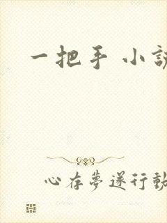 一把手 小说