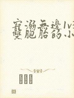 宠溺无边1v3双胞胎的小说