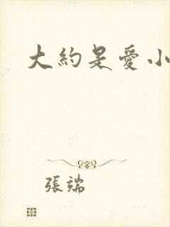 大约是爱小说