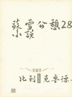 苏雪公憩28篇小说