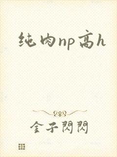 纯肉np高h